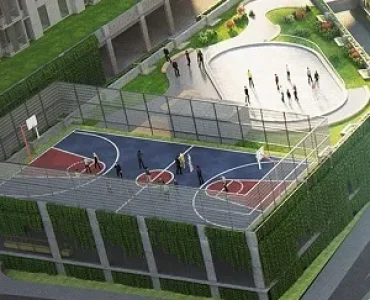 Half Basketball Court